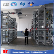 a&H Type Style Poultry Farm Chicken Cage